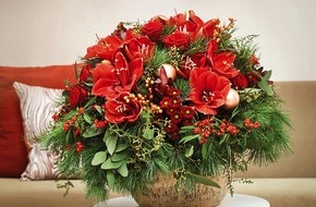 Fleurop AG: Rot, Gold, Cremeweiß und genauso knallbunt! / Amaryllis-Bouquets bringen Farbe in die Adventszeit