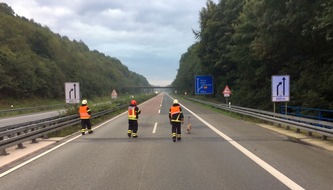Feuerwehr Iserlohn: FW-MK: Schwan verirrt sich auf die Autobahn