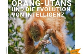 Universität Konstanz: Orang-Utans und die Evolution von Intelligenz, PI Nr. 26/2024