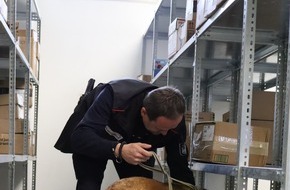 Hauptzollamt Regensburg: HZA-R: Postkontrolle am Truppenübungsplatz Grafenwöhr: Zoll setzt auf Technik und Spürhunde