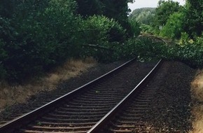 Freiwillige Feuerwehr Bedburg-Hau: FW-KLE: Umgestürzter Baum blockiert Bahngleise