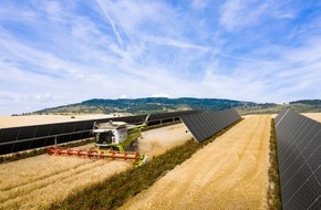 BayWa r.e.: Spanischer Solarpark versorgt VELUX mit grüner Energie und kombiniert Agri-PV mit Biodiversität