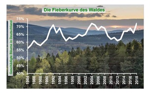 Robin Wood e.V.: Waldzustandsbericht 2018: Schlechter ging es dem Wald noch nie