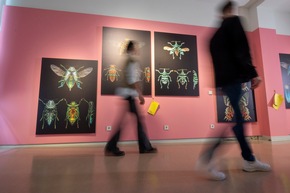 Pressemitteilung: Echte Gefühle und große Kunst