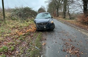 Polizeiinspektion Cuxhaven: POL-CUX: Unter Alkoholeinfluss in Beverstedt-Wellen verunfallt (Foto im Anhang)