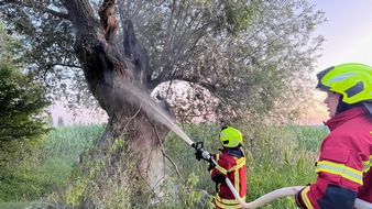 Freiwillige Feuerwehr Reichenau: FW Reichenau: Brennender Baum konnte gelöscht werden, 20.06.2024, Reichenau-Mittelzell