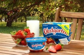 Danone DACH: Die fruchtige Revolution im beliebtesten Obstgarten Deutschlands