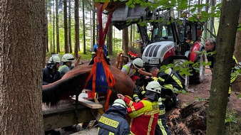 Feuerwehr Bad Säckingen: FW Bad Säckingen: Tierrettung - Pferd eingebrochen