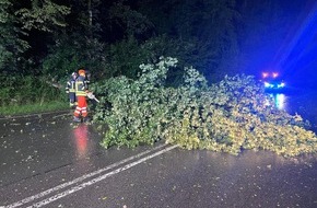 Feuerwehr Sprockhövel: FW-EN: Querspange durch Baum versperrt & Verkehrsunfall auf der Schmiedestraße