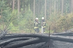 Kreisfeuerwehr Rotenburg (Wümme): FW-ROW: Waldbrand endet Dank frühzeitiger Entdeckung glimpflich