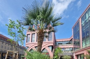 B.C Neumann PR: Pressemitteilung: ALEXA öffnet Summer Lounge auf dem Ravelinplatz