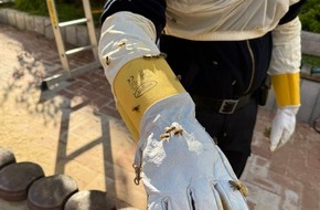 Feuerwehr Detmold: FW-DT: Bienenvolk auf Spielplatz umgesiedelt - Feuerwehr unterst&uuml;tzt Kommunalordnungsdienst