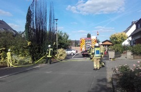 Freiwillige Feuerwehr Menden: FW Menden: Brennende Hecke in Halingen schnell gelöscht