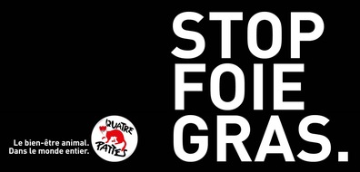 VIER PFOTEN - Stiftung für Tierschutz: Journée mondiale contre le foie gras