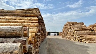 Deutsche Säge- und Holzindustrie Bundesverband e. V. (DeSH): EU-Parlament beschließt EUDR-Verschiebung