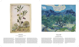 BÄUME - Der Atem der Welt, jetzt im Midas Verlag erschienen