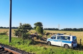 Bundespolizeiinspektion Flensburg: BPOL-FL: RD - Zwei Einsätze wegen Kühe am Gleis