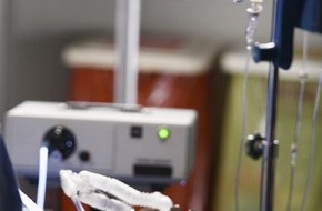 ProSieben: Drama im "Seattle Grace Hospital": das spannendste "Grey's Anatomy"-Staffelfinale aller Zeiten am 6. Oktober 2010, ab 20.15 Uhr auf ProSieben (mit Bild)