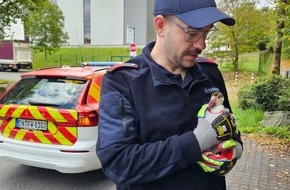 Feuerwehr Wetter (Ruhr): FW-EN: Tierrettung am Sonntag
