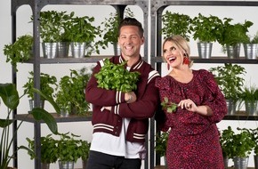 SAT.1: "Ganz tolle Gartenarbeit!" Wildkräuter, Gemüse, Salat: In Folge sieben von "The Taste" kommt Vegetarisches auf den Löffel - am Mittwoch, 14. Oktober 2020, um 20:15 Uhr in SAT.1