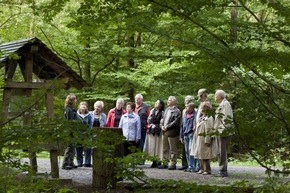 Alter Auenwald als beliebter Bestattungsort