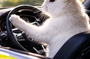 Landespolizeidirektion Th&uuml;ringen: LPD-EF: Th&uuml;ringer Polizei startet Osteraktion