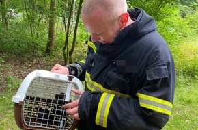 Feuerwehr Herdecke: FW-EN: Feuerwehr rettet drei Teichhühner