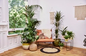 Blumenbüro: Urlaub unter Palmen / Auf zur Fernreise in den eigenen vier Wänden