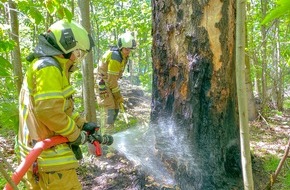 Feuerwehr Dresden: FW Dresden: Mehrere kleinere Waldbrände in der Dresdner Heide