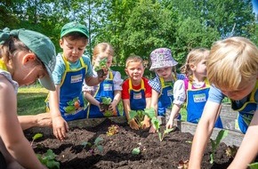 EDEKA ZENTRALE Stiftung & Co. KG: EDEKA Stiftung lässt Kitas aufblühen: 3.100 Gemüsebeete für nachhaltige Ernährungsbildung