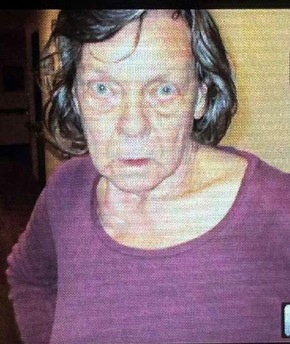 POL-STD: 78-jährige Seniorin aus Apensen immer noch vermisst - Polizei sucht weiteren Zeugen