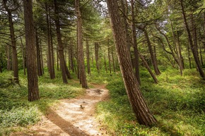 Cuxhaven ist zu jeder Jahreszeit sch&ouml;n, auch in der f&uuml;nften