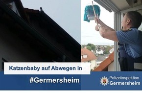 Polizeidirektion Landau: POL-PDLD: Tierrettung über den Dächern von Germersheim