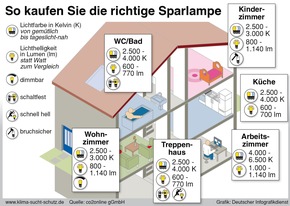 Die co2online gemeinnützige GmbH stellt für Journalisten eine Auswahl an honorarfreien Grafiken zur Verfügung (BILD)