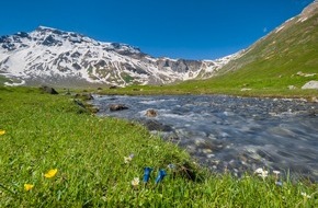 Ferris Bühler Communications: Engstligenalp startet in die Sommersaison: Erlebnisse auf höchster Ebene