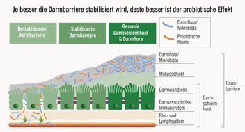 CGC Cramer-Gesundheits-Consulting GmbH: Neues Beschwerdebild im Fokus: "PROBIOTIKA-SYNDROM" / "Welches Probiotikum ist das richtige? Die Auswahl sollte in Absprache mit dem Arzt erfolgen!"