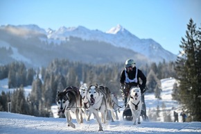 4.000 Besucher bei Schlittenhunde-Weltcup in Unterjoch - Spektakel im Allgäu sorgt für Begeisterung bei Mensch und Tier