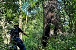 Feuerwehr Neuss: FW-NE: Baum durch THW gesprengt | Umfangreicher Einsatz in Reuschenberg