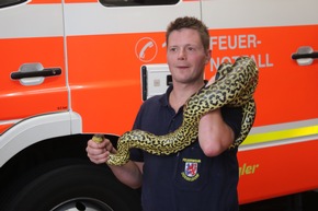 FW-D: Pressemeldung mit Bildern - Reptilienfachmann der Feuerwehr Düsseldorf unterstützt in Meerbusch - Gelbe Anakonda konnte eingefangen werden