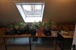 Polizeipräsidium Konstanz: POL-KN: (Schiltach, Lkrs. RW) Polizei stellt Cannabis-Pflanzen sicher