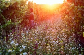 Demobetriebe Ökologischer Landbau: Wein ist nicht alles