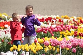 Niederländisches Büro für Tourismus & Convention (NBTC): Pressebericht: Eine Blume auf Erfolgskurs: Start in die Tulpensaison 2019