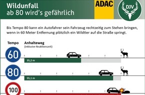 ADAC: Wildunfälle in Deutschland - Knapp 228.500 Wildunfälle im Jagdjahr 2016/17 / Experten diskutieren auf einer Fachtagung von ADAC und DJV in Hannover über die Wirksamkeit von Präventionsmaßnahmen