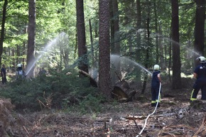 FW-SE: Waldbrandübung 2022 erfolgreich beendet