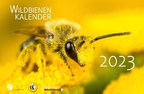 Stiftung für Mensch und Umwelt: Jeden Monat eine summende Überraschung