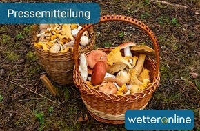 WetterOnline Meteorologische Dienstleistungen GmbH: Milder Herbst lässt Pilze sprießen - Ideale Zeit für Sammler
