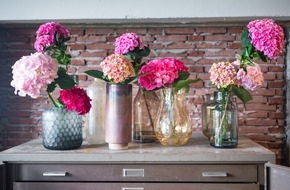 Blumenbüro: Hortensien in Vasen für lebendigen Look / Für echtes Sommer-Feeling: die Hortensie als Schnittblume