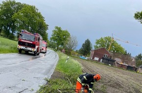 Feuerwehr Schermbeck: FW-Schermbeck: Baum auf Fahrbahn