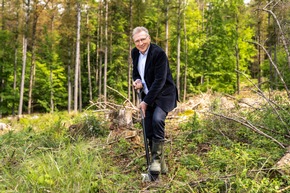 Buchenwald am Marienberg durch Klimawandel stark geschädigt / lavera unterstützt privaten Waldbesitzer beim Waldumbau und pflanzt 11.000 Laubbäume