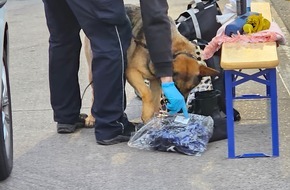 Hauptzollamt Karlsruhe: HZA-KA: Zollhund beweist richtigen Riecher / Buskontrolle endet mit Haftbefehl